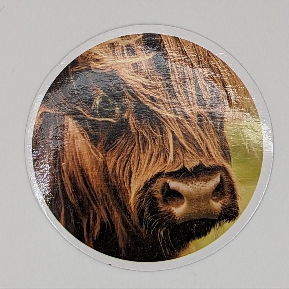 Highland Cow Sticker